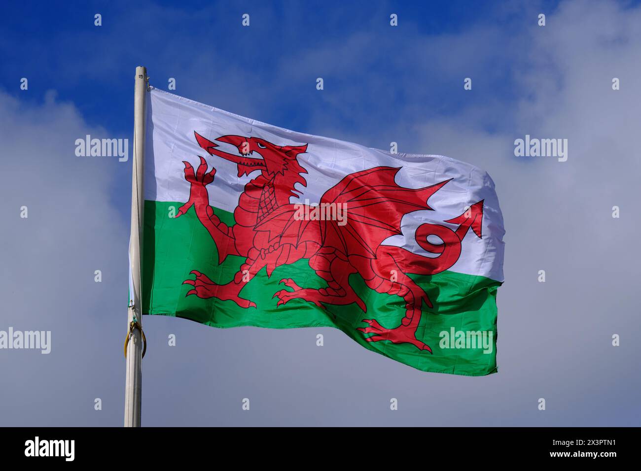 Walisische Flagge fliegt an einem hellen, luftigen Tag Stockfoto