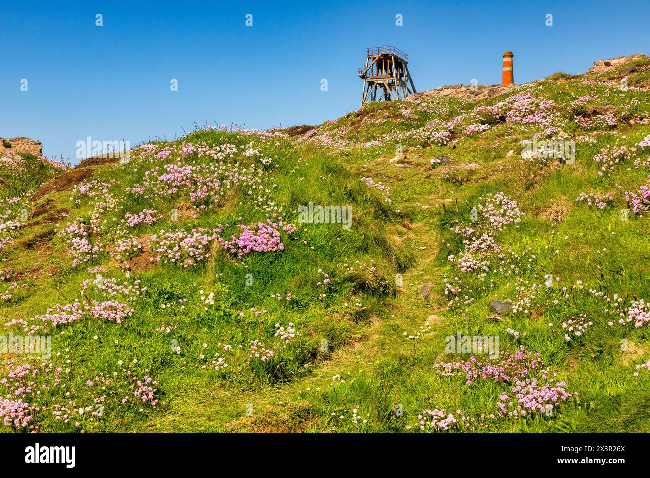 Alte Winde in der Botallack Mine, Cornwall, oben auf einer mit Blumen übersäten Klippe. Stockfoto