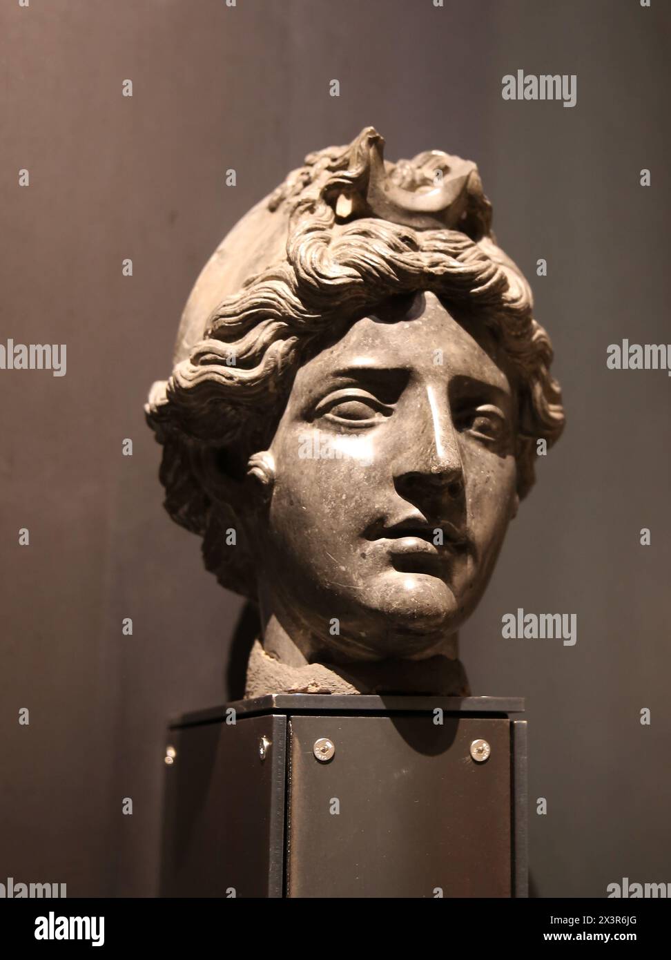 Amazon. Kopf. Kopie eines griechischen Originals aus dem Jahr 440-430 v. Chr. Mitte des 16. Jahrhunderts (Kopf). Stockfoto