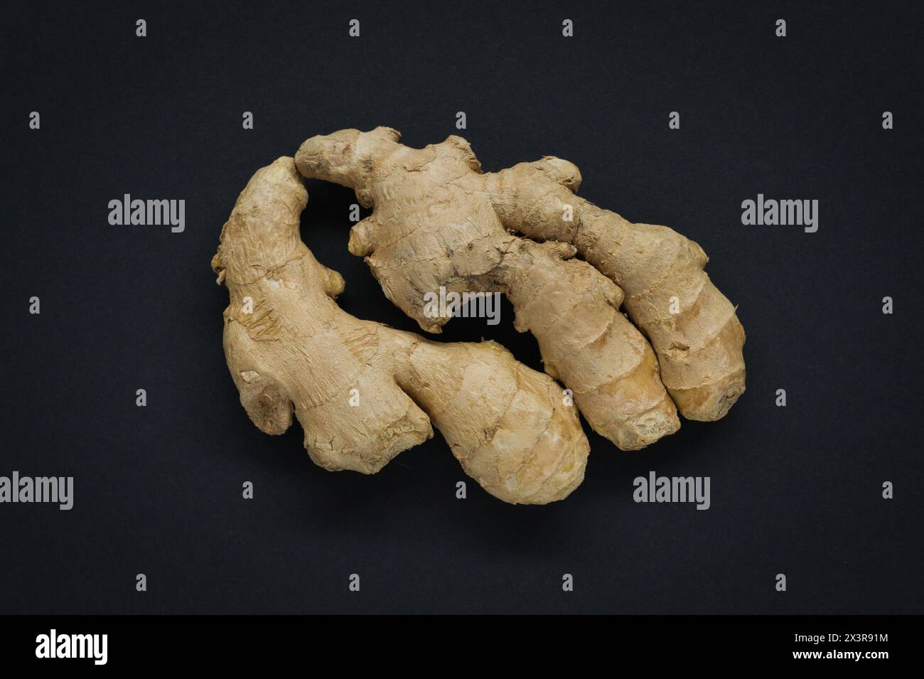 Frische rohe Ingwerwurzeln auf schwarzem Hintergrund Stockfoto