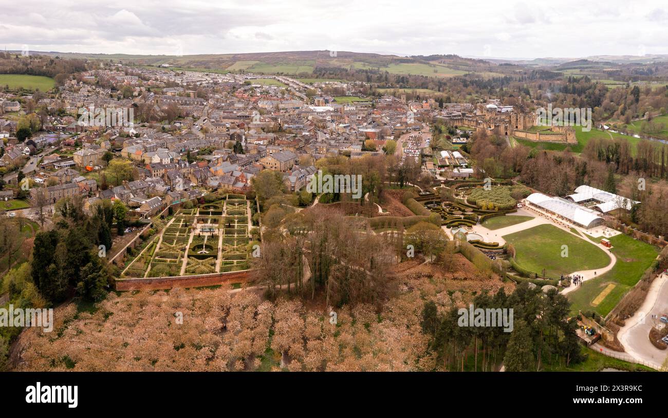 ALNWICK, NORTHUMBERLAND, GROSSBRITANNIEN - 19. APRIL 2024. Blick auf die formellen Gärten von Alnwick Castle und Stadtzentrum aus der Vogelperspektive Stockfoto