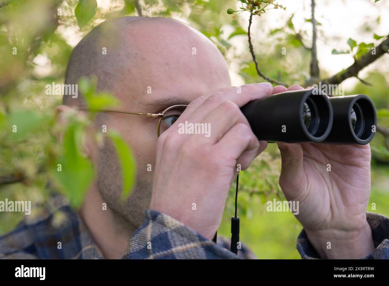 Junger Mann, versteckt in üppigem Grün, Spione bekleidet durch Ferngläser, Nosy Neighbor, Privatdetektiv überwacht, Nervenkitzel sucht Stockfoto