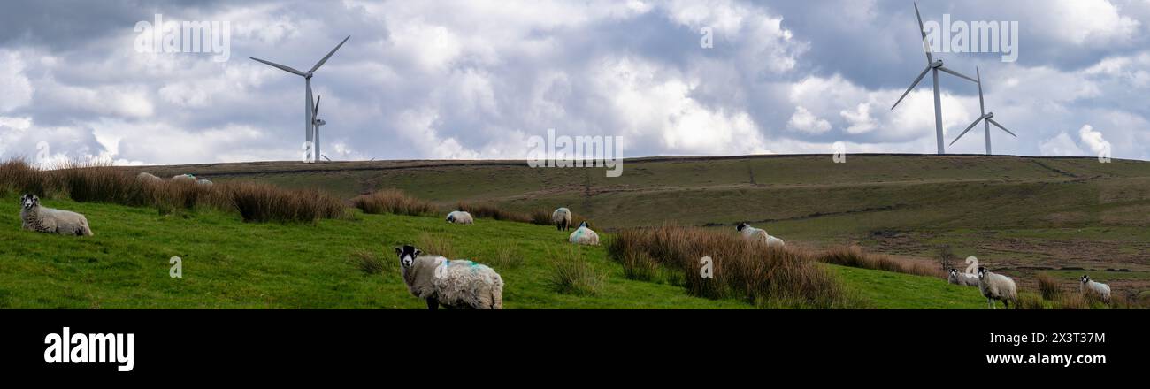Panoramablick auf die Landschaft des Großraums Manchester mit grünen Feldern, Live-Vorrat und Windturbinen. Stockfoto