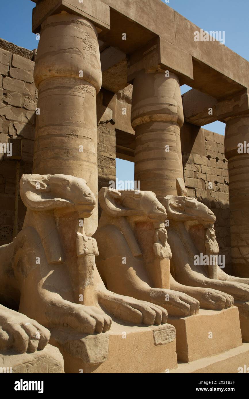 Sphinx mit RAM-Kopf, großer Hof, Karnak Tempelkomplex, UNESCO-Weltkulturerbe, Luxor, Ägypten Stockfoto