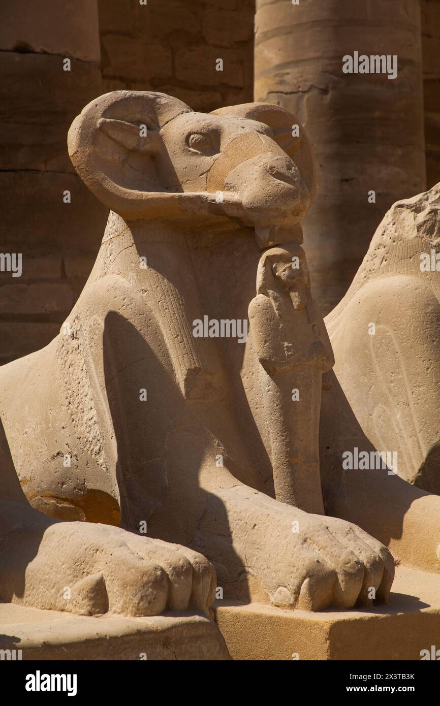 Sphinx mit RAM-Kopf, großer Hof, Karnak Tempelkomplex, UNESCO-Weltkulturerbe, Luxor, Ägypten Stockfoto