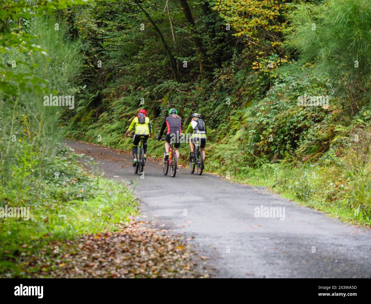 Ciclistas, parque Natural Fragas del Eume,​ provincia de La Coruña, Galicien, Spanien Stockfoto