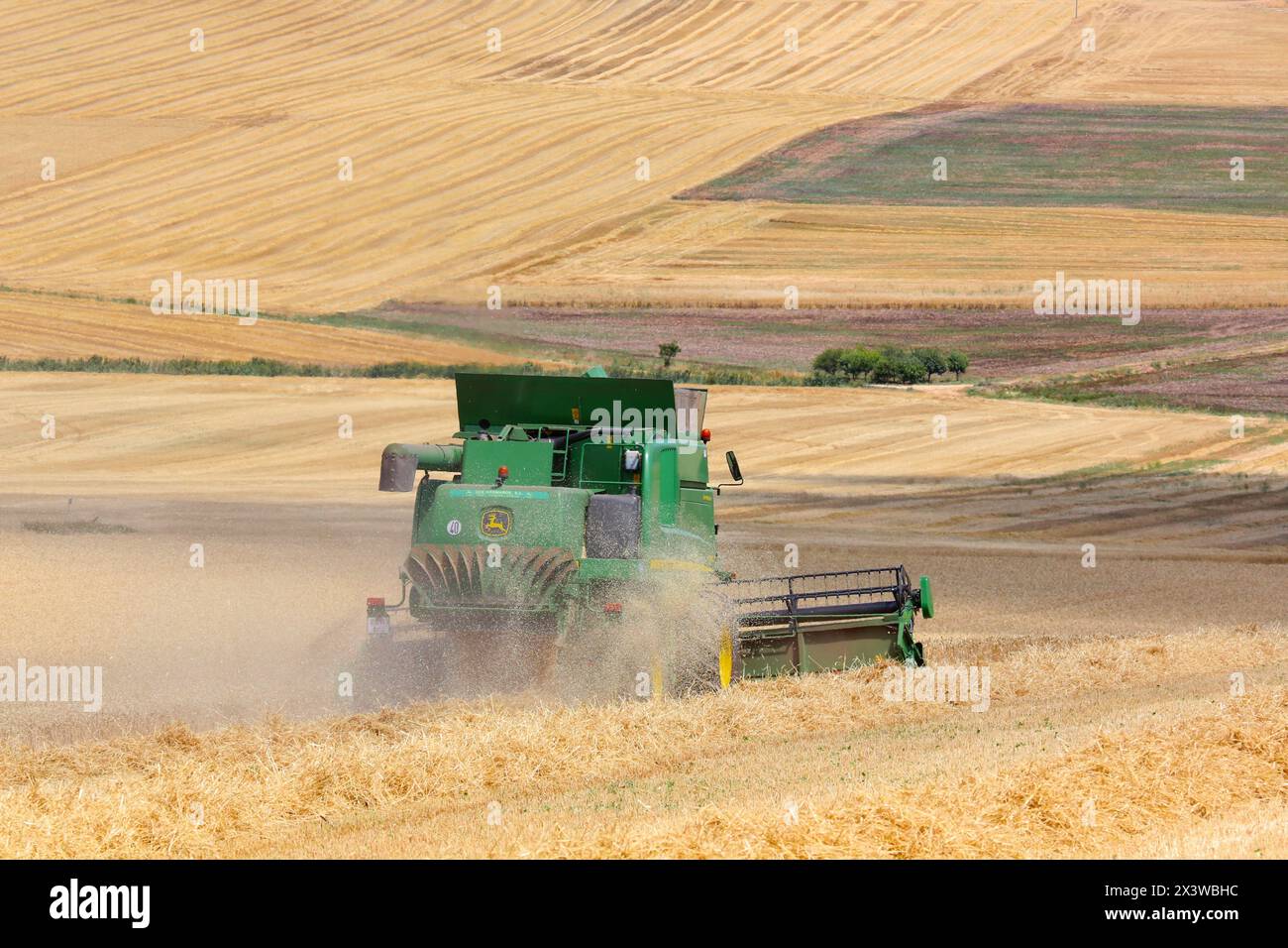 Mähdrescher auf Weizen ´Learza´ Anwesen in der Nähe von Estella, Navarra, Spanien Stockfoto