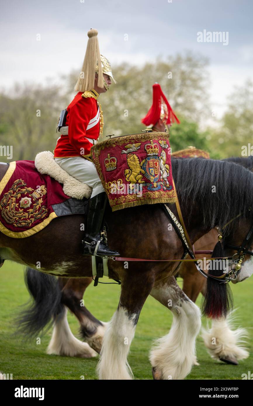 London, Großbritannien. April 2024. Eines der Trommelpferde während der jährlichen Inspektion des Household Kavallerry Mounted Regiment durch den Major General, die ultimative Prüfung für die spektakulärste und anspruchsvollste Zeremonialeinheit der britischen Armee ist. Es ist ein Test, den sie bestehen müssen, um an den bevorstehenden staatlichen Zeremonialaufgaben teilzunehmen. Rund 170 Pferde und das Personal des Household Kavallerry Mounted Regiments verlassen die Knightsbridge Kaserne und begeben sich zum „Football Pitch“-Bereich im Hyde Park, um sich zu bilden und vom General Officer, der die Household Division kommandiert, inspiziert zu werden. Sie sind zuvorkommend Stockfoto