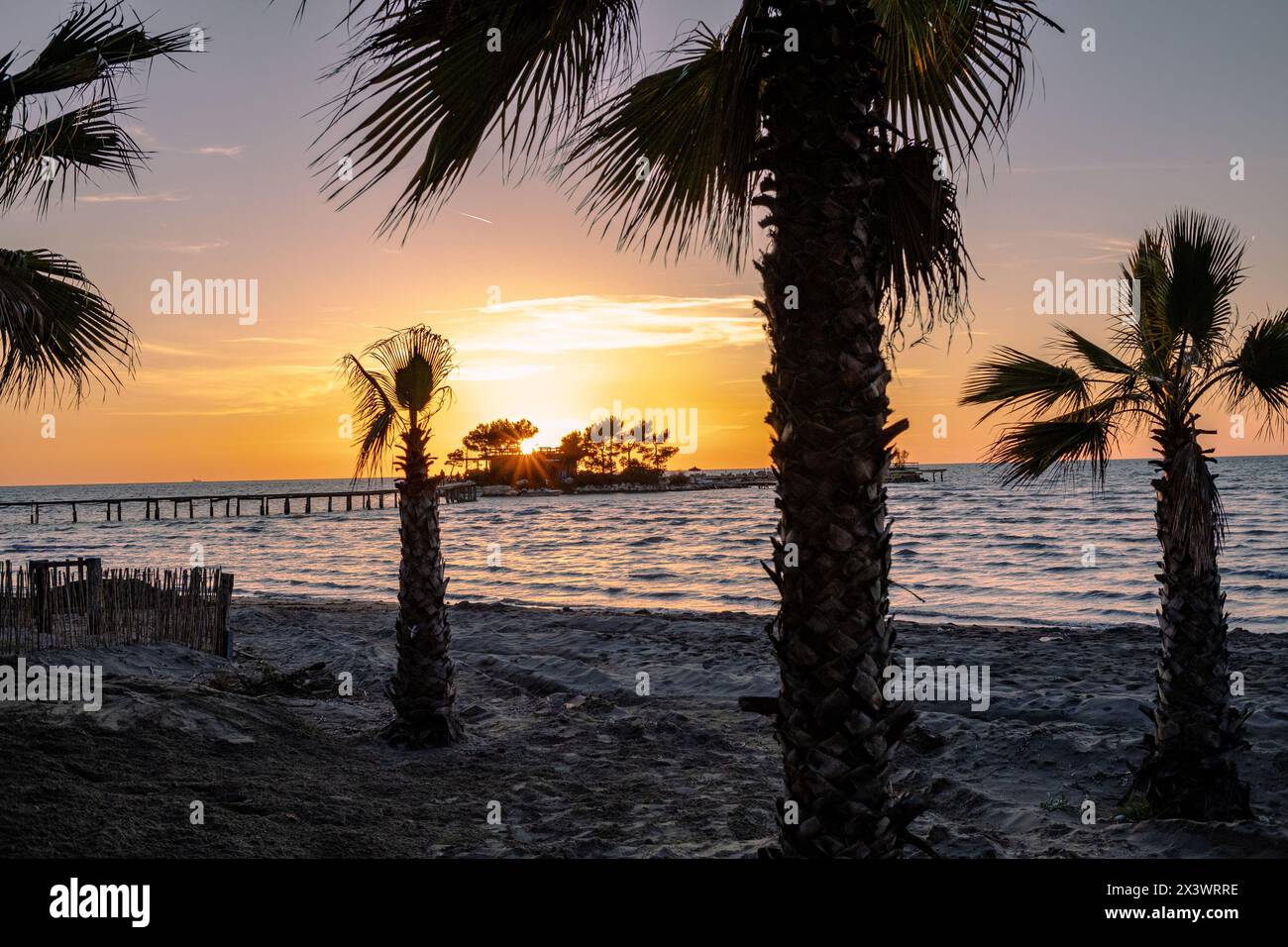 Palmen tanzen in der Abendbrise und malen Silhouetten vor dem farbenfrohen Himmel. Stockfoto