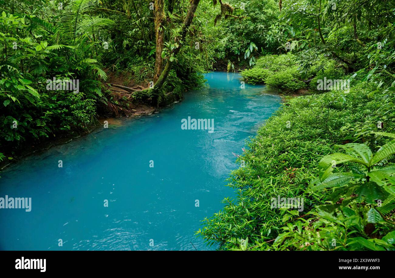 Blauer Fluss Rio Celeste, Parque Nacional Volcan Tenorio, Costa Rica Stockfoto