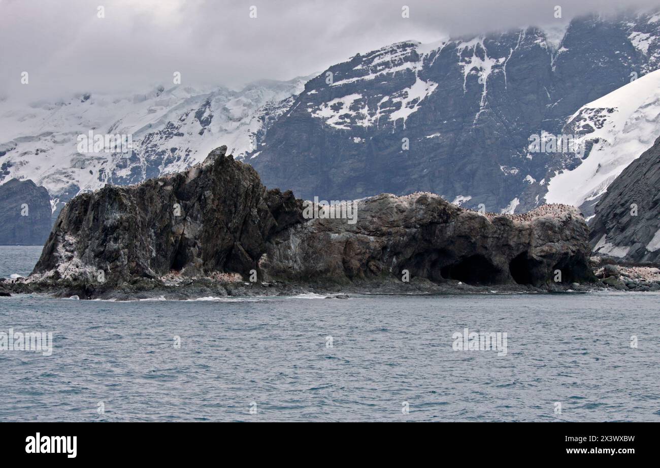 Kolonie der Chinstrap-Pinguine, Elephant Island, South Orkneys Stockfoto