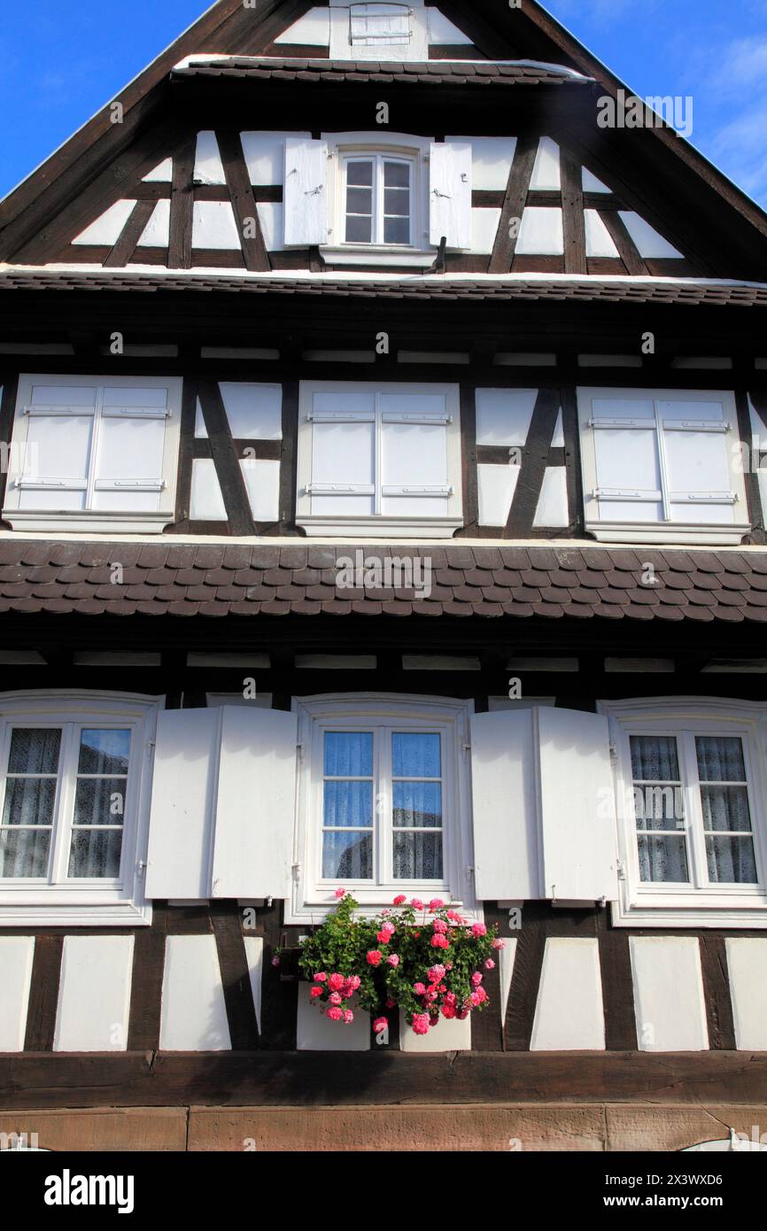 Frankreich, Grand-Est, Bas Rhin (67) Elsass, Hunspach Stockfoto