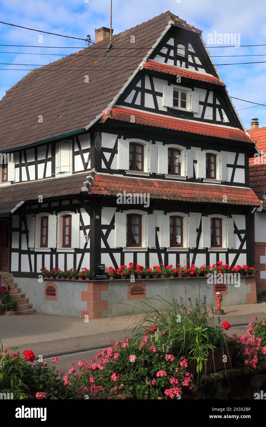 Frankreich, Grand-Est, Bas Rhin (67) Elsass, Hunspach Stockfoto