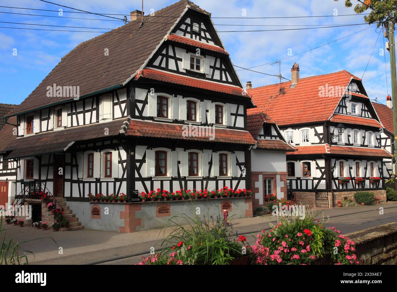 Frankreich, Grand-Est, Bas Rhin (67) Elsass, Hunspach Stockfoto