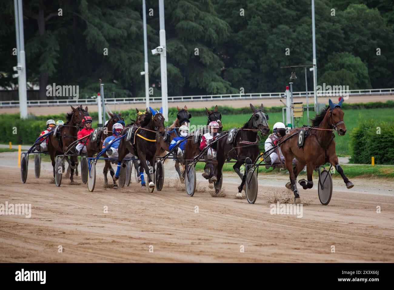 Eine Gruppe von Jockeys läuft auf der Rennstrecke des Bologna Hippodrome Stockfoto