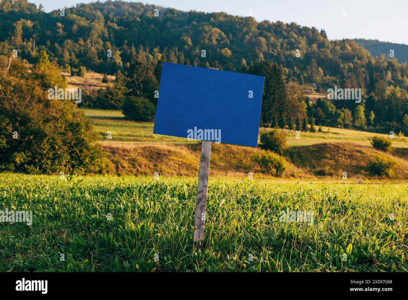 Blaue Information Holzschilder Mockup auf malerischer Alpenwiese am Morgen, selektiver Fokus Stockfoto