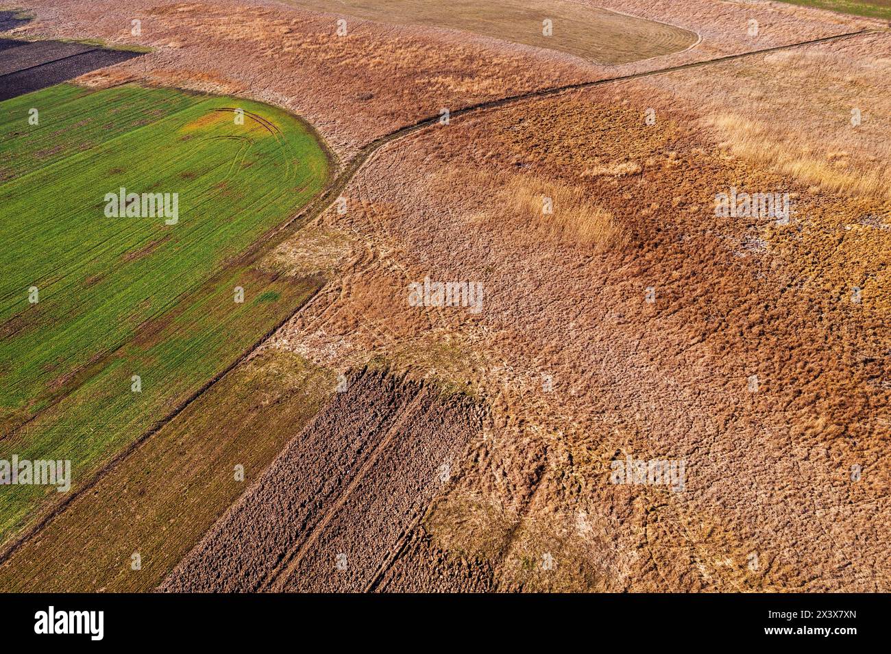 Sie verwandelt sich in ein fruchtbares Land mit reichem Boden, aus der vogelperspektive Stockfoto