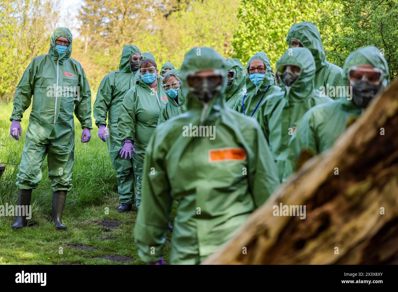 Hattingen, Deutschland. April 2024. Tierärzte und Helfer in Aktion während einer Tierseuchenübung. In Zusammenarbeit mit anderen Bezirken probt der Landkreis Ennepe-Ruhr, was im Falle eines Ausbruchs der Vogelgrippe zu tun ist. Quelle: Christoph Reichwein/dpa/Alamy Live News Stockfoto Hattingen, Deutschland. April 2024. Tierärzte und Helfer in Aktion während einer Tierseuchenübung. In Zusammenarbeit mit anderen Bezirken probt der Landkreis Ennepe-Ruhr, was im Falle eines Ausbruchs der Vogelgrippe zu tun ist. Quelle: Christoph Reichwein/dpa/Alamy Live News Stockfoto