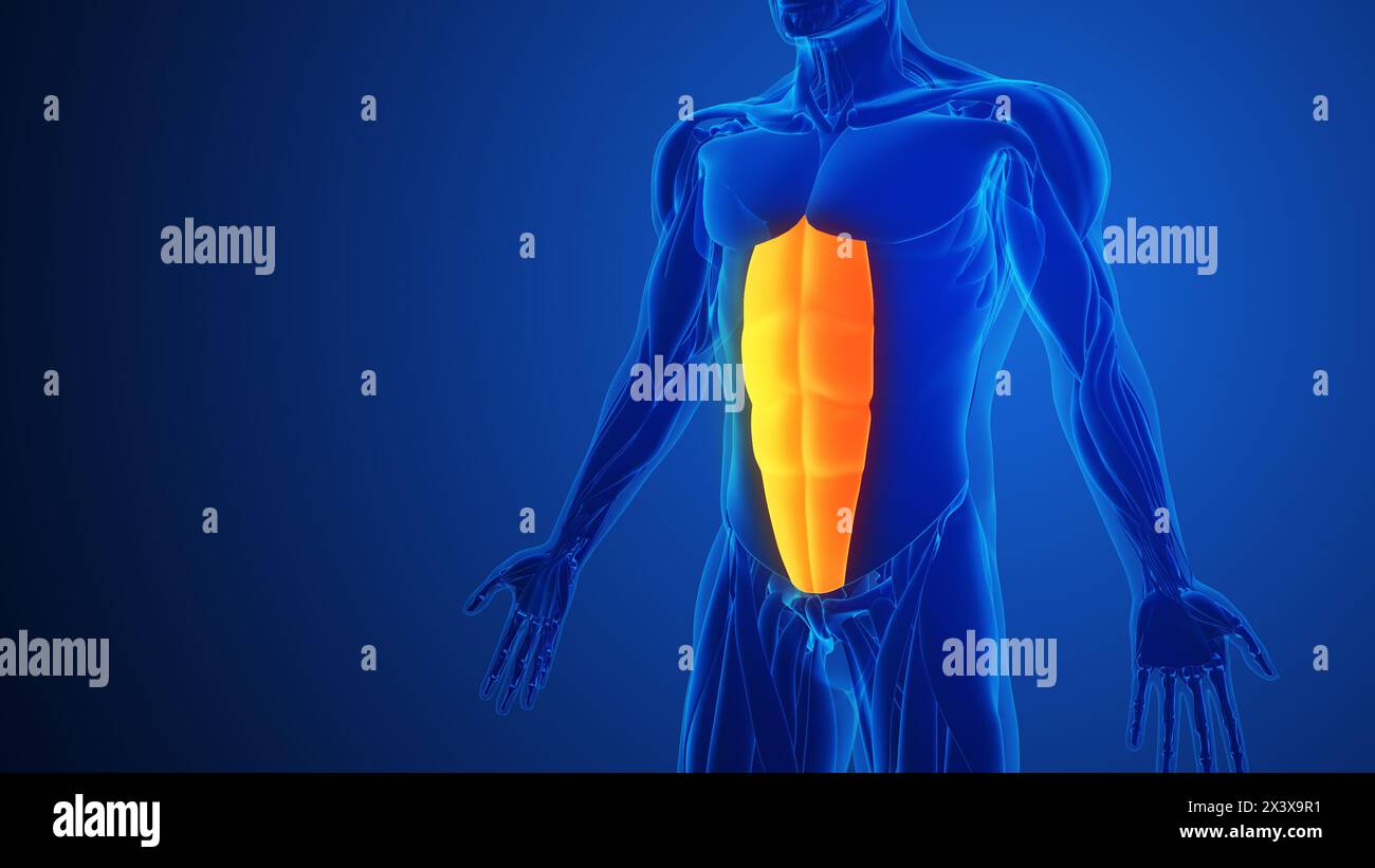 Bauchmuskelschmerzen mit blauem Hintergrund Stockfoto