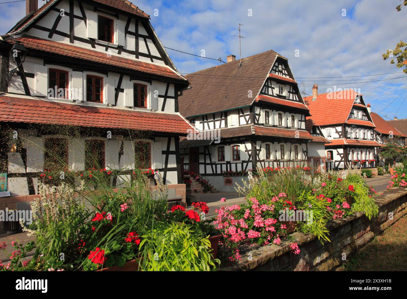 Frankreich, Grand-Est, Bas Rhin (67) Elsass, Hunspach Stockfoto