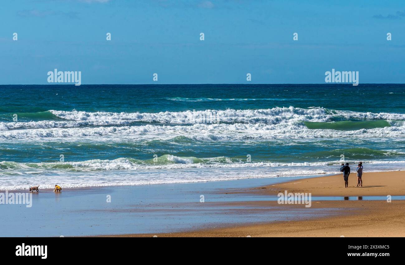 Frankreich, neue Aquitanien, Landes, Saint-Julien-en-Born, Contis Beach Stockfoto