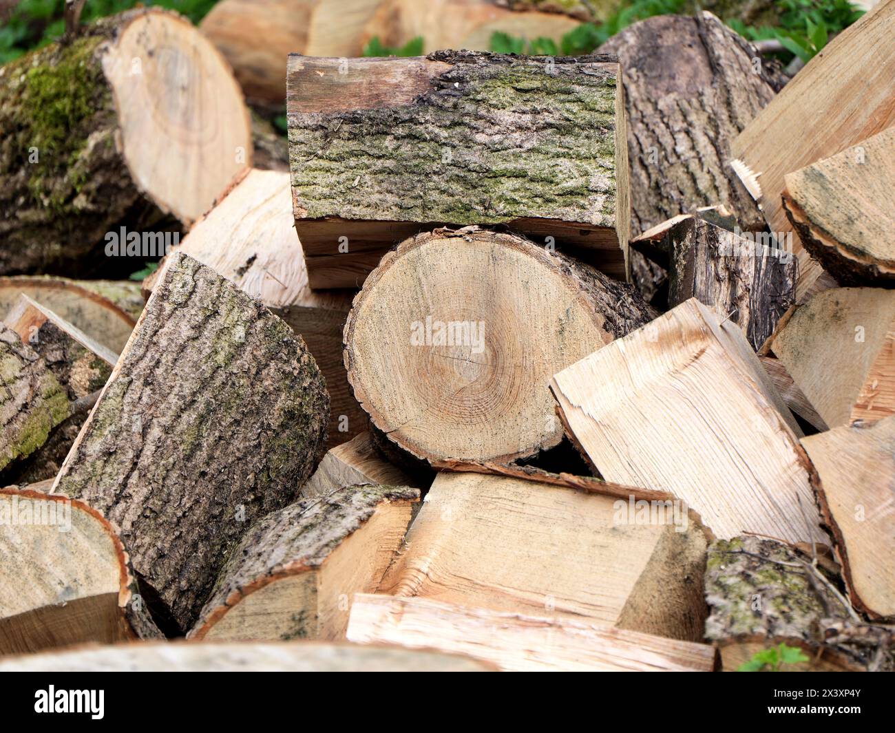 Holzeinschlag, Holzblöcke, erneuerbare Brennholz-Ressourcen. Nachhaltigkeit, Klimaschutz, ökologische Vorteile und wirtschaftliche Bedeutung. Stockfoto