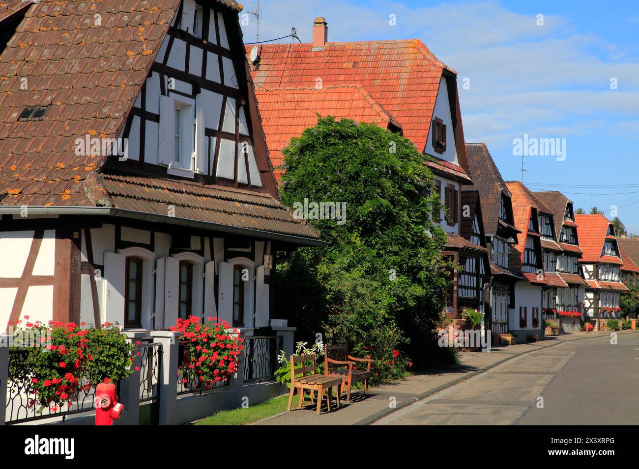 Frankreich, Grand-Est, Bas Rhin (67) Elsass, Hunspach Stockfoto