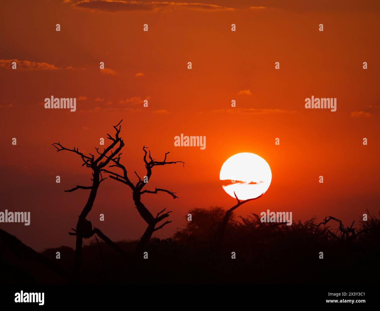 Sonnenuntergang Afrika Stockfoto