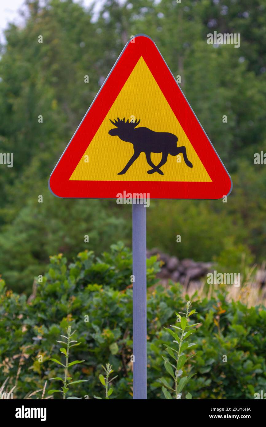 Europa, Skandinavien, Schweden. Elchschild Stockfoto