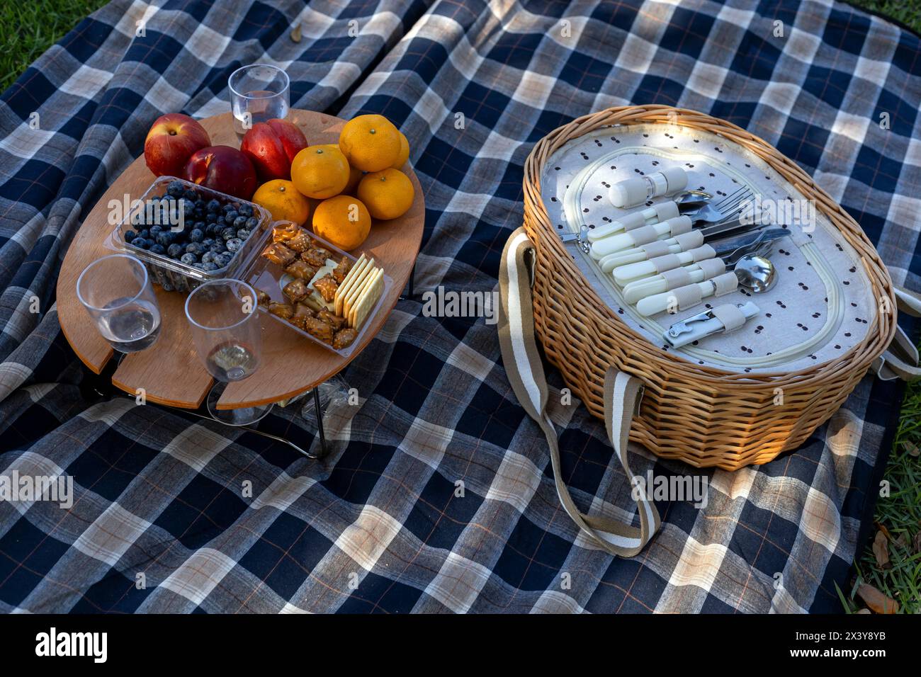 Karierte Tischdecke auf dem Rasen mit Korb mit Picknickbesteck, Obst, Keksen und Wasser Stockfoto