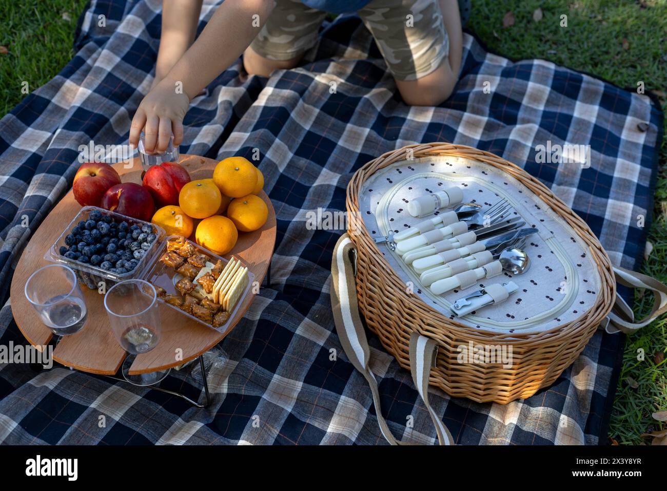 Familien-Picknick-Tag im Park, karierte Tischdecke auf dem Rasen, Picknickkorb, Obst, Kekse und Wasser Stockfoto