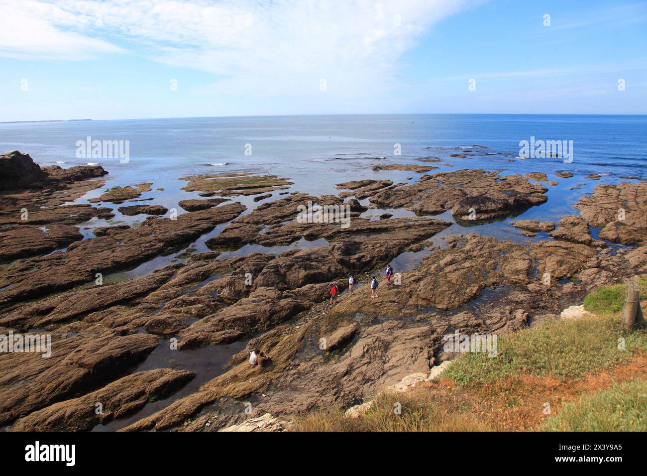 France, Pays de la Loire, Loire Atlantique (44), Piriac sur Mer, Castelli Point Stockfoto