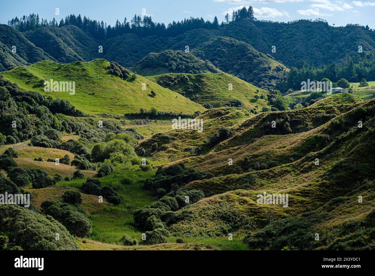 Ein Blick vom Strathmore Saddle auf dem Forgotten World Highway mit einem abgelegenen Gehöft, Nordinsel, Neuseeland Stockfoto