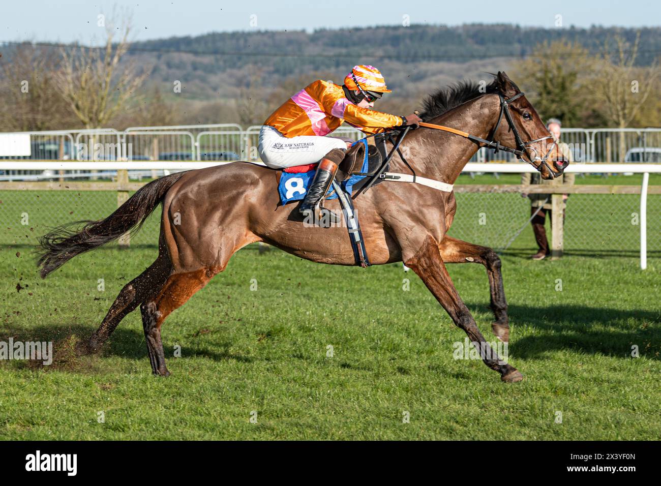 Wincanton Hürdenrennen, Donnerstag, 20. Januar 2022 Stockfoto