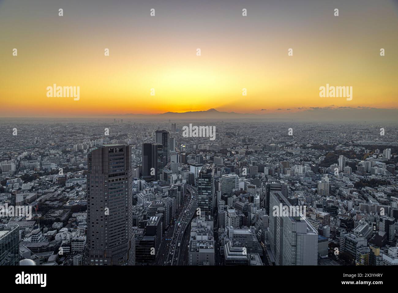 Blick auf Tokio bei Sonnenuntergang, fuji-Berg im Hintergrund Stockfoto