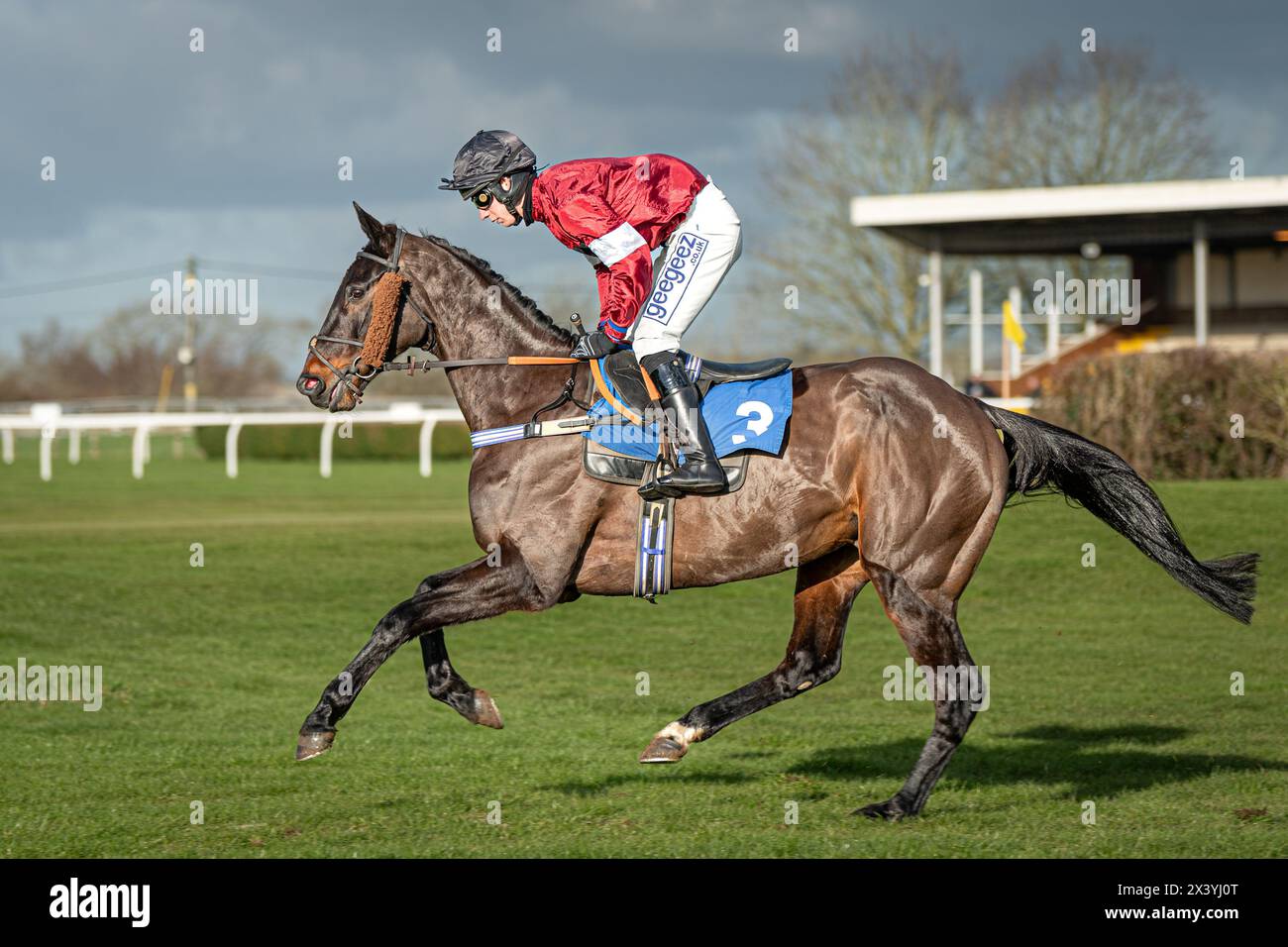 Drittes Rennen in Wincanton, Handicap Chase, Donnerstag, 20. Januar 2022 Stockfoto