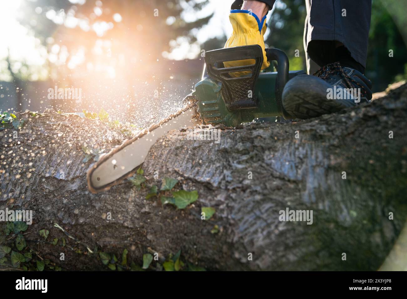 Ein Mann in Uniform schneidet einen alten Baum im Hof mit einer elektrischen Säge Stockfoto