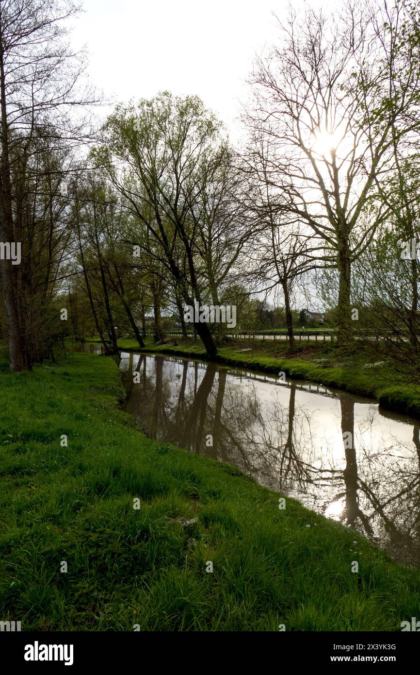 Der Sandbach bei Weitenung, Bühl Baden schlängelt sich durch die Aue Stockfoto