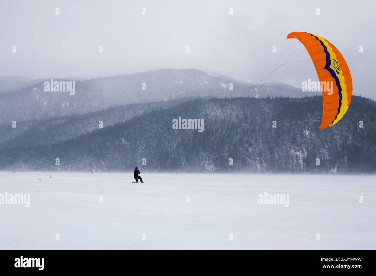 Ein mittelerwachsener Mann rastet beim Kiten in Alaska über Schnee. Stockfoto