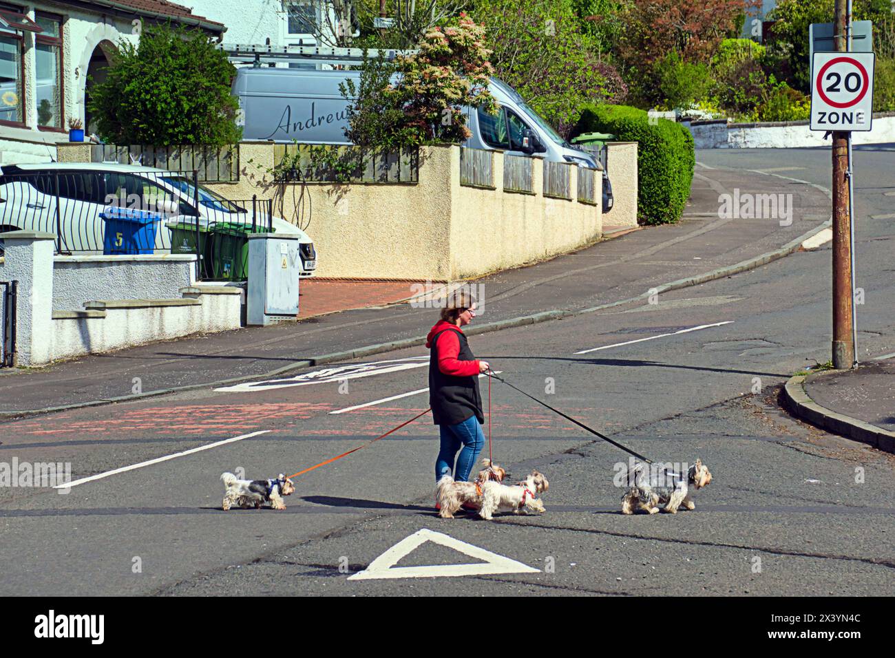 Glasgow, Schottland, Großbritannien. 29. April 2024: Straßen mit Geschwindigkeitsbegrenzung auf 20 km/h in der Stadt aufgrund eines kürzlichen Anstiegs der Todesopfer Straßen reduziert, um sicherere Straßen zu schaffen. Credit Gerard Ferry /Alamy Live News Stockfoto