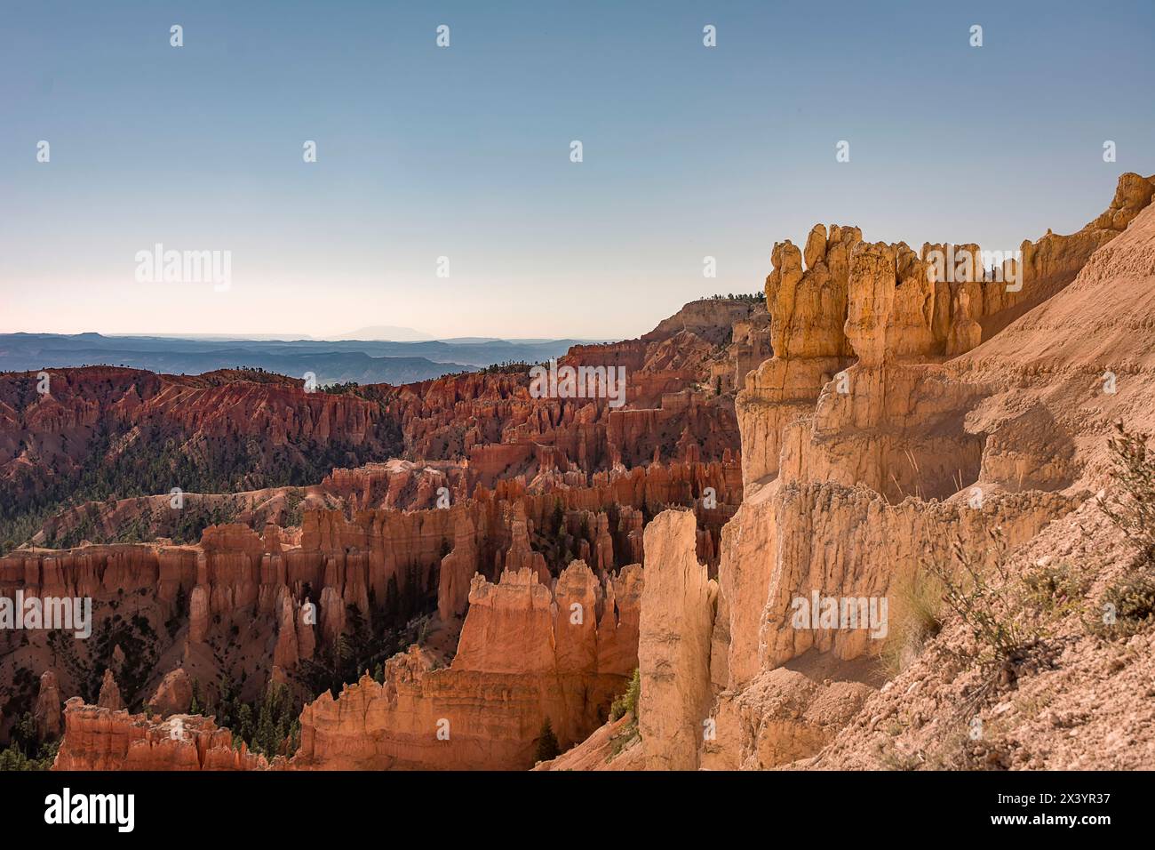 Bryce Canyon Stockfoto