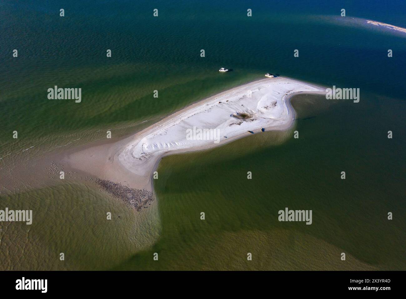 Usa, Florida. Collier County. Marco Island. Zehntausend Inseln Stockfoto