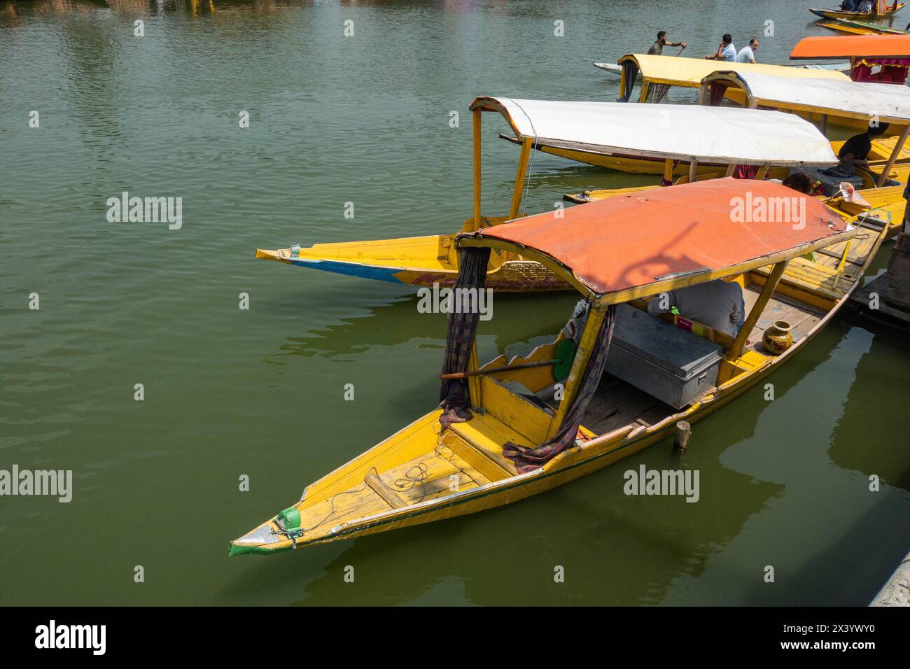 Shikaras auf Dal Lake, Srinagar, Kaschmir, Indien Stockfoto