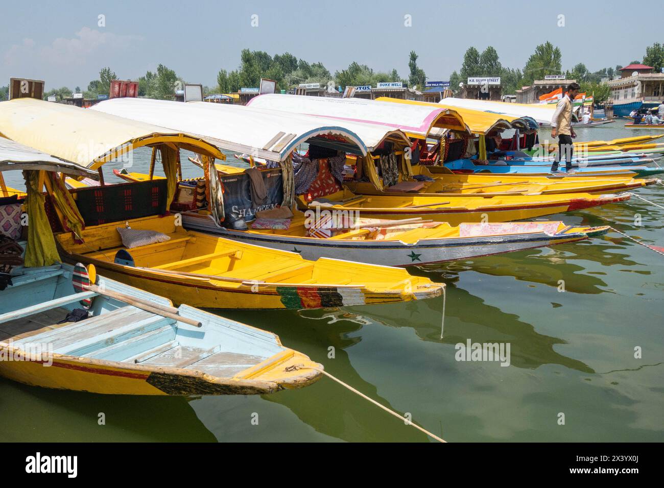 Shikaras auf Dal Lake, Srinagar, Kaschmir, Indien Stockfoto