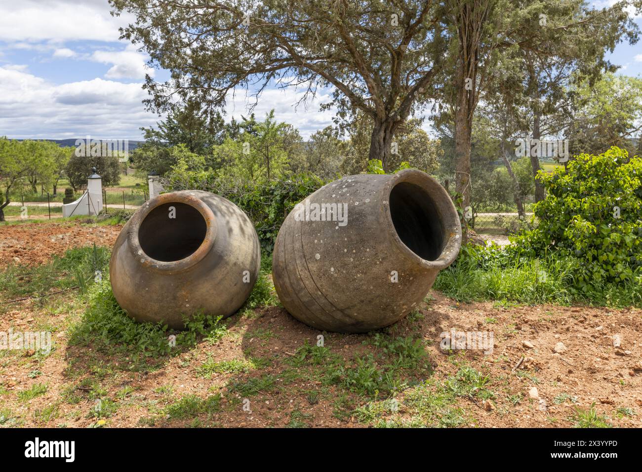 Große Gläser aus Ton, die traditionell zur Aufbewahrung von Wein, Wasser, Öl oder Getreide auf der Wiese eines Bauernhofes in einem Landhaus verwendet werden Stockfoto