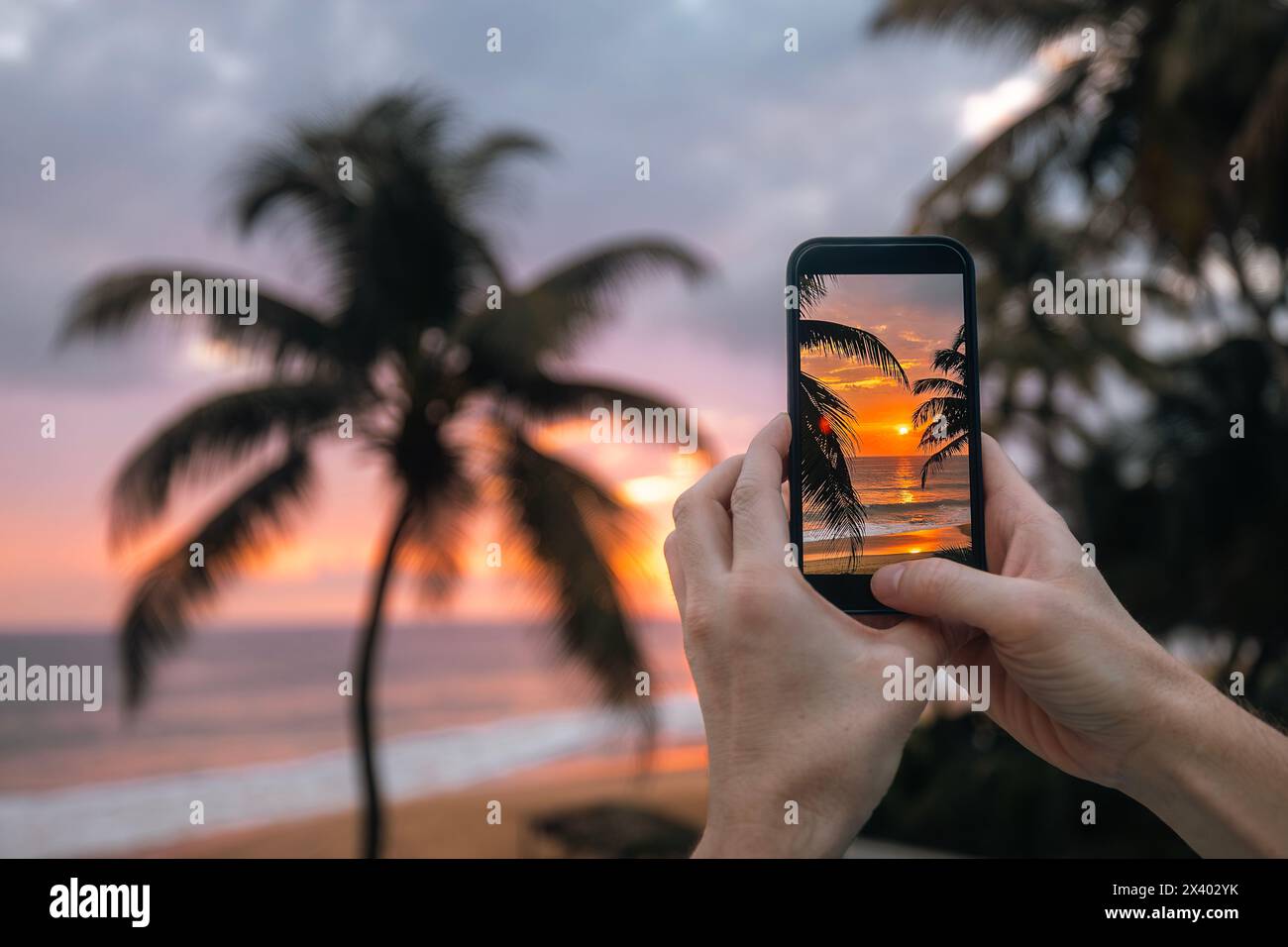 Nahaufnahme der Hände, die das Smartphone halten. Mann fotografiert den Sonnenuntergang über dem Meer mit dem Handy. Kokospalmen am Sandstrand an der Südküste von Sri L Stockfoto