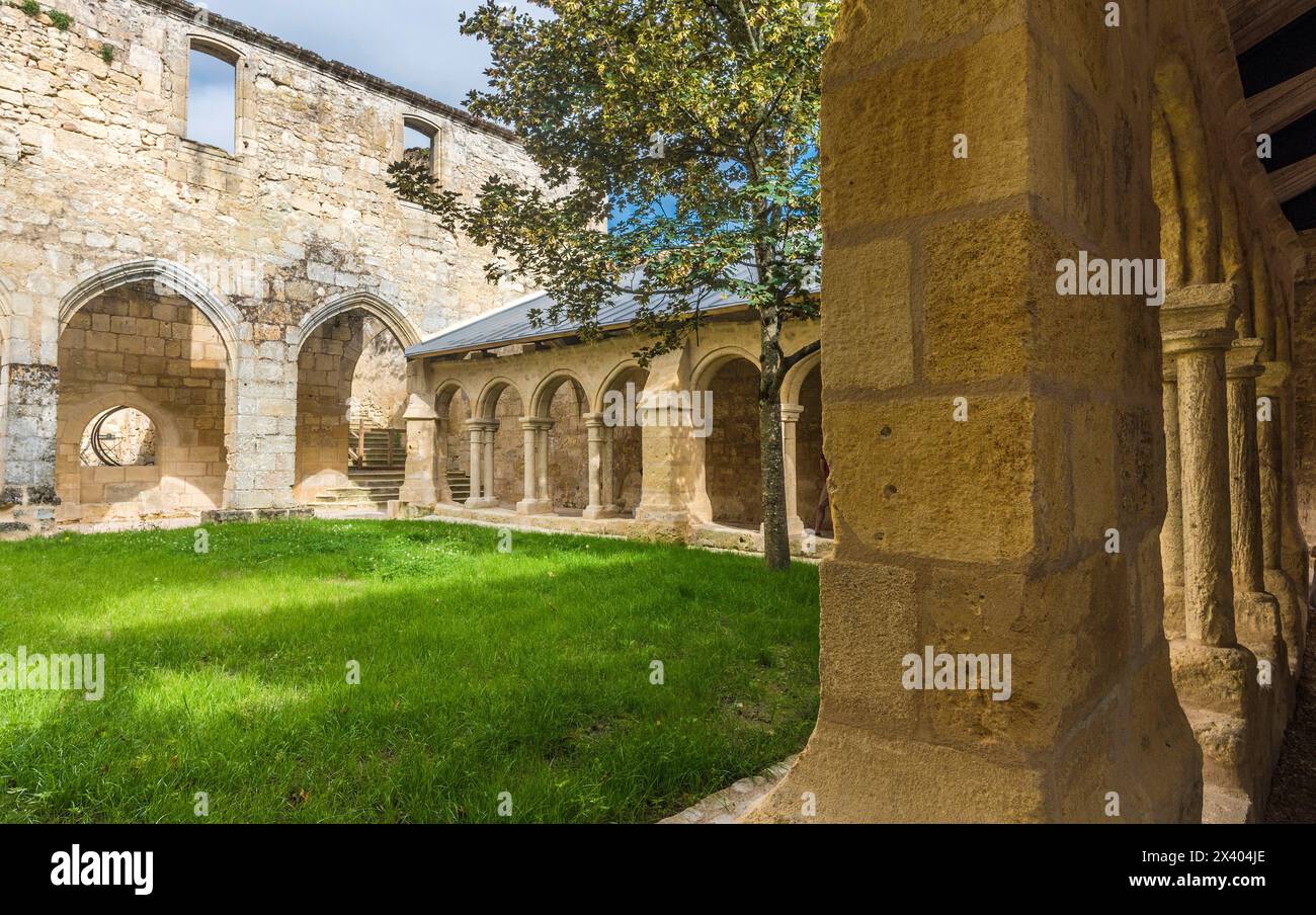 Frankreich, Gironde, Saint Emilion (UNESCO-Weltkulturerbe), Kreuzgang des ehemaligen Konvents der Cordeliers (14. Jahrhundert) Stockfoto