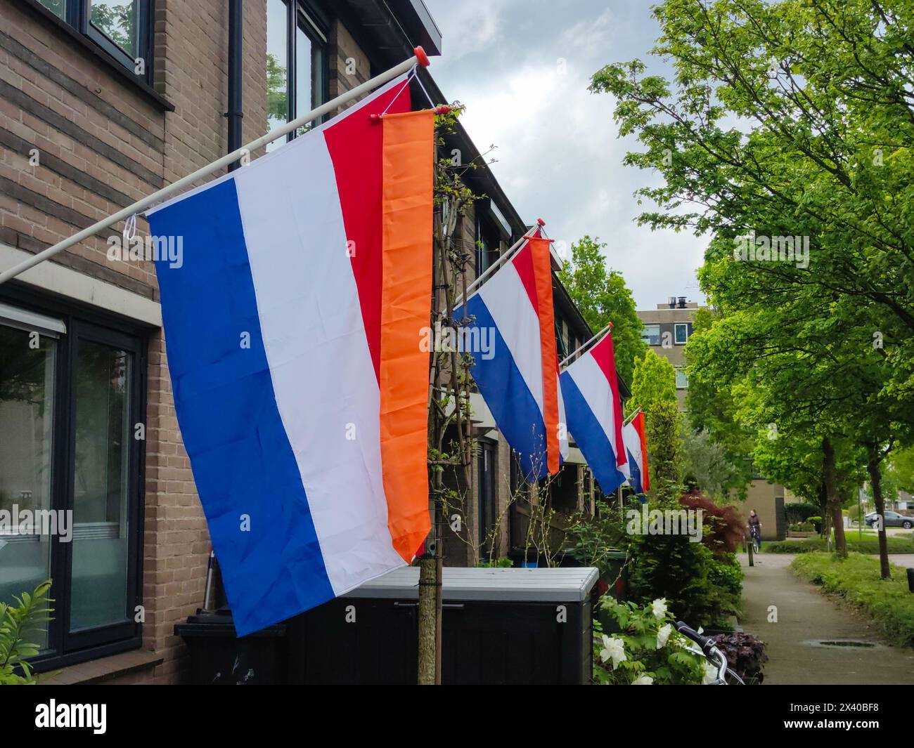 Reihe farbenfroher niederländischer Flaggen mit orangefarbenem Wimpel in einer Dorfstraße in den Niederlanden zum Königstag. Stockfoto