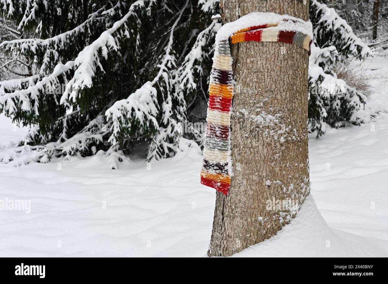 Wollschal, der im Winter um einen Baum in einem Park gewickelt wurde Stockfoto