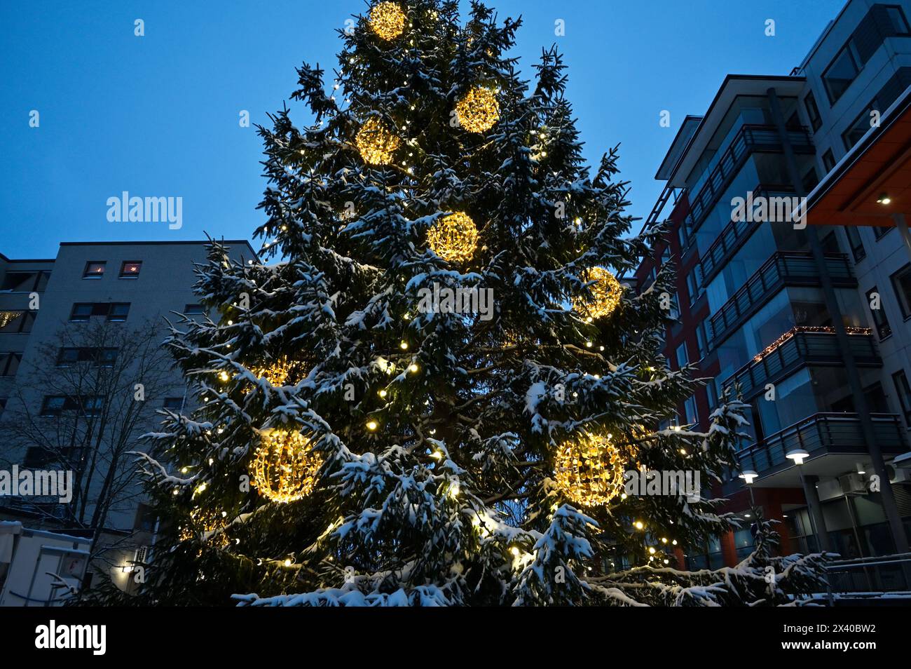 Weihnachtsbaum im Freien in einer kleinen finnischen Stadt im Dezember Stockfoto